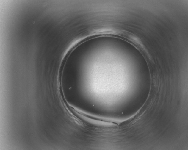 X0000064041328200602031547