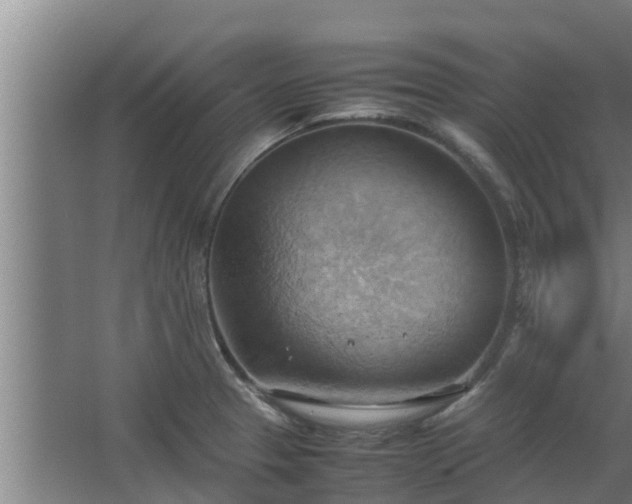 X0000064041329200602031547