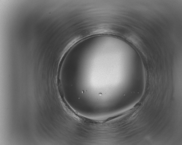 X0000064041330200602031547