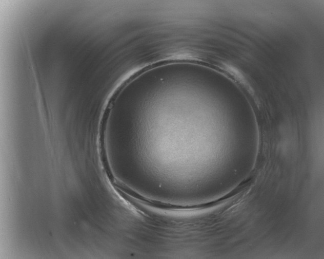 X0000064041331200602031547