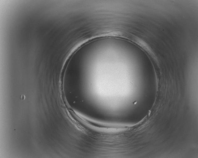 X0000064041332200602031547