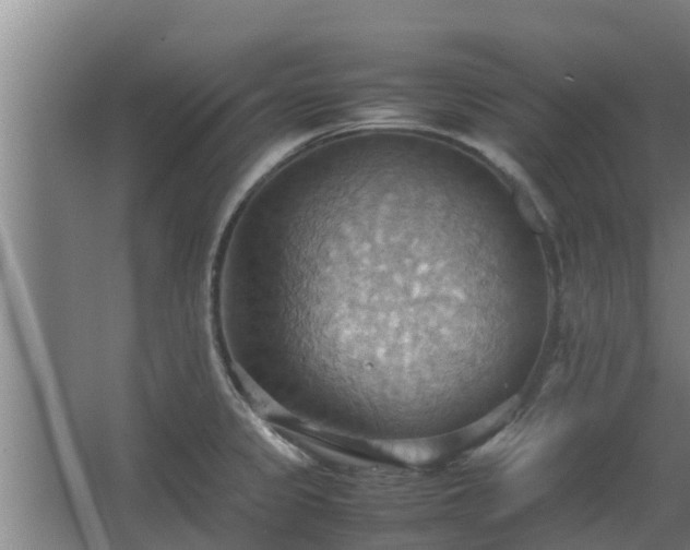 X0000064041333200602031547