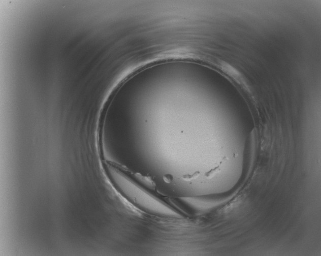 X0000064041334200602031547