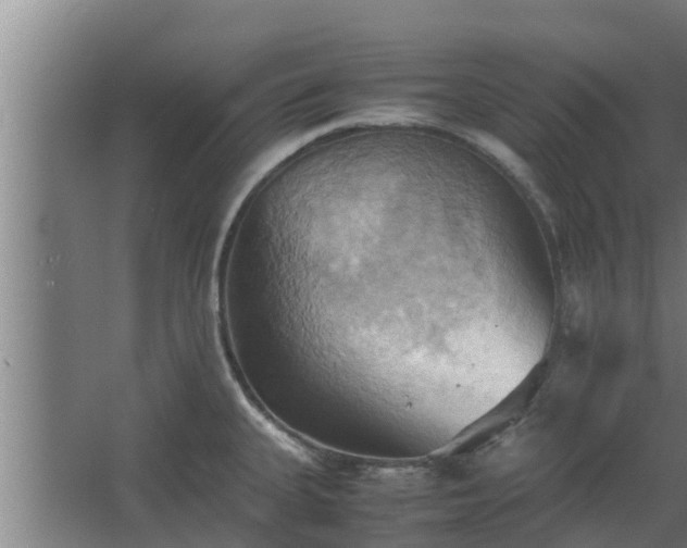 X0000064041335200602031547