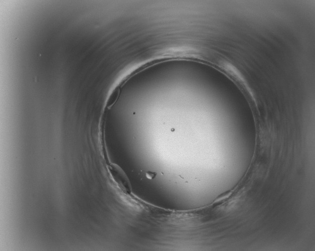 X0000064041336200602031547