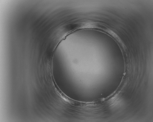 X0000064041337200602031548