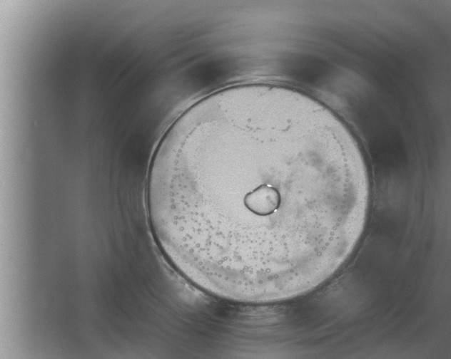 X0000064041338200602031548