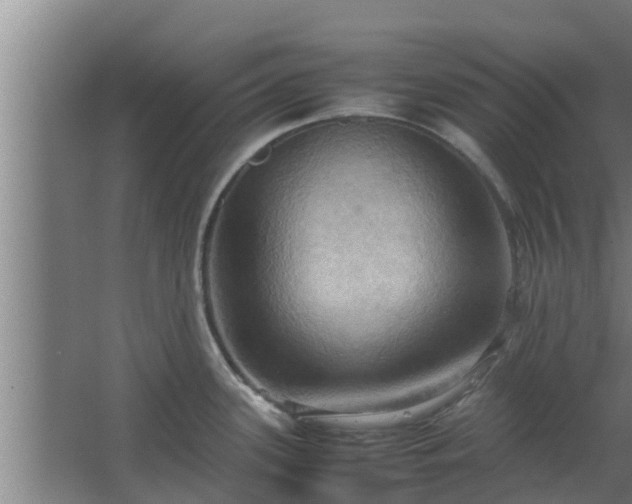 X0000064041339200602031548