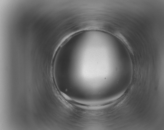 X0000064041340200602031548