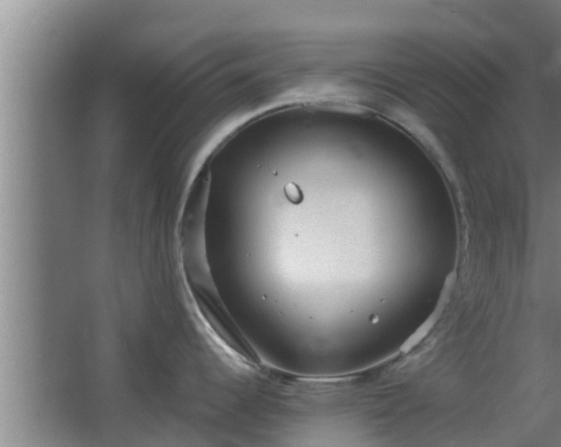 X0000064041344200602031548