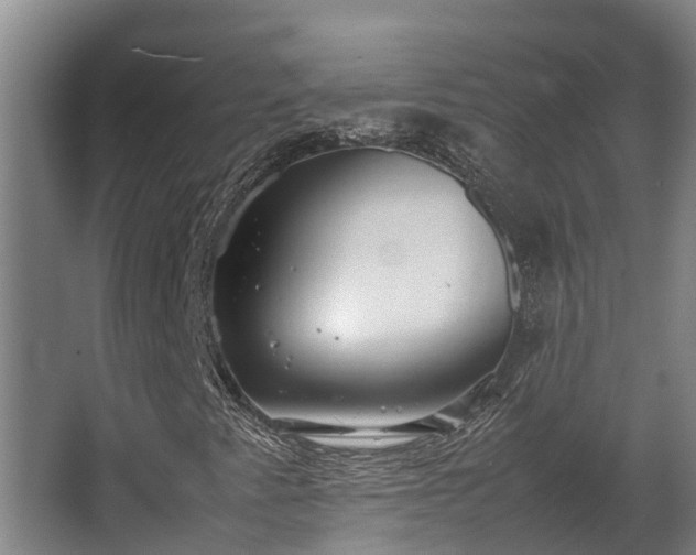 X0000064041345200602031547