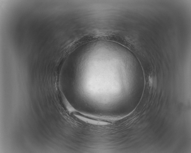 X0000064041348200602031547