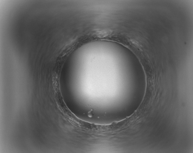 X0000064041349200602031547