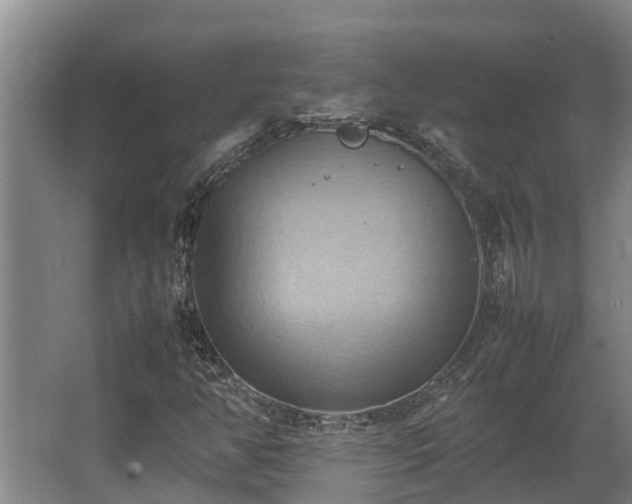 X0000064041350200602031547