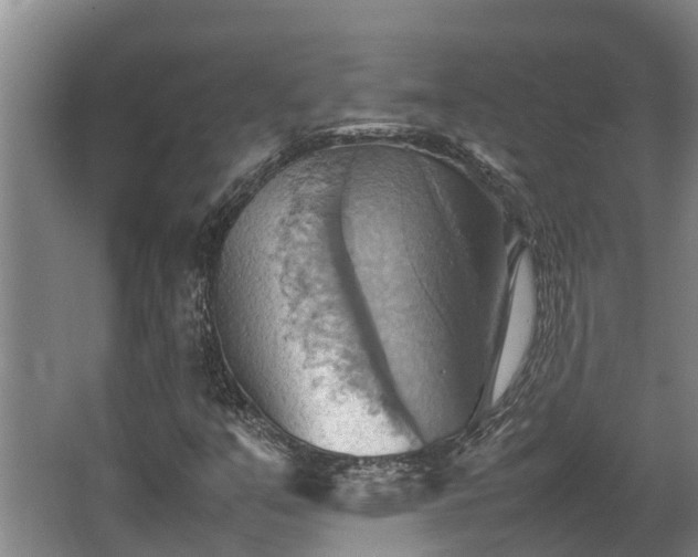 X0000064041351200602031547