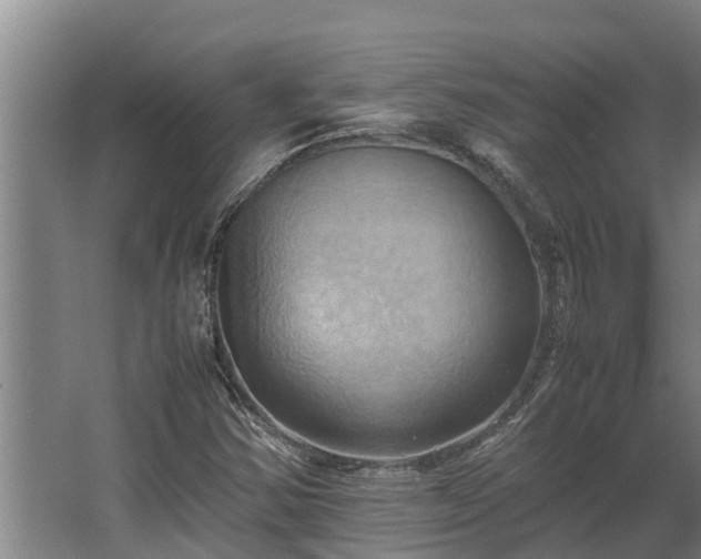 X0000064041354200602031547