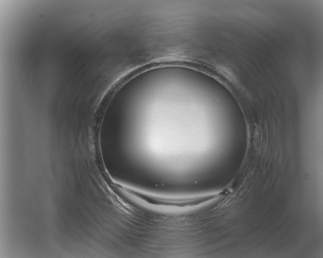 X0000064041356200602031547