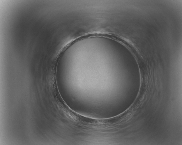 X0000064041359200602031547