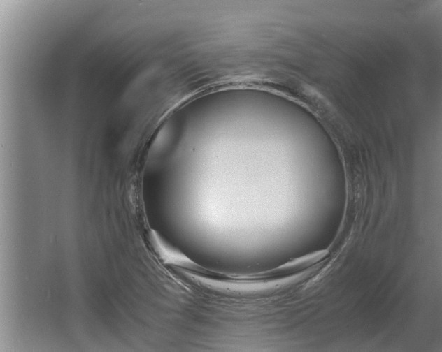 X0000064041361200602031547