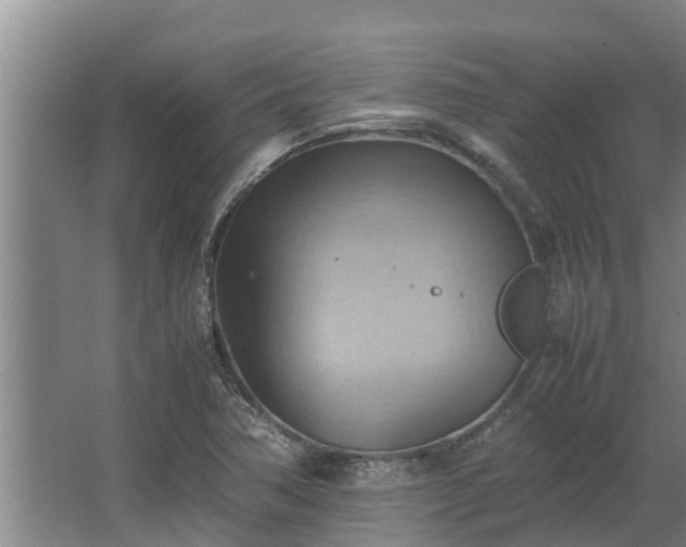 X0000064041362200602031547