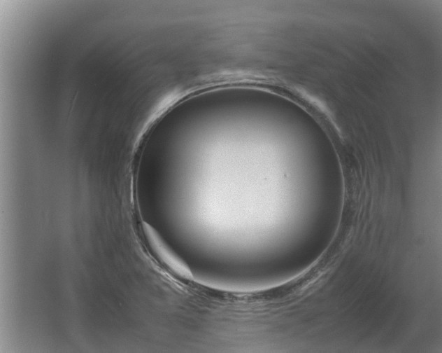 X0000064041365200602031546