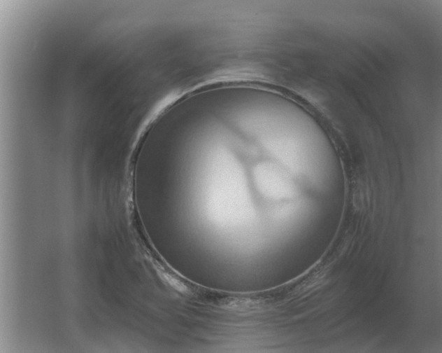 X0000064041366200602031546