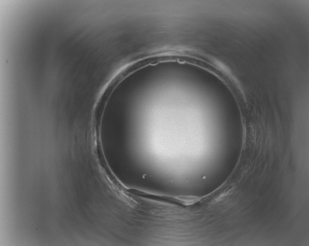 X0000064041368200602031546