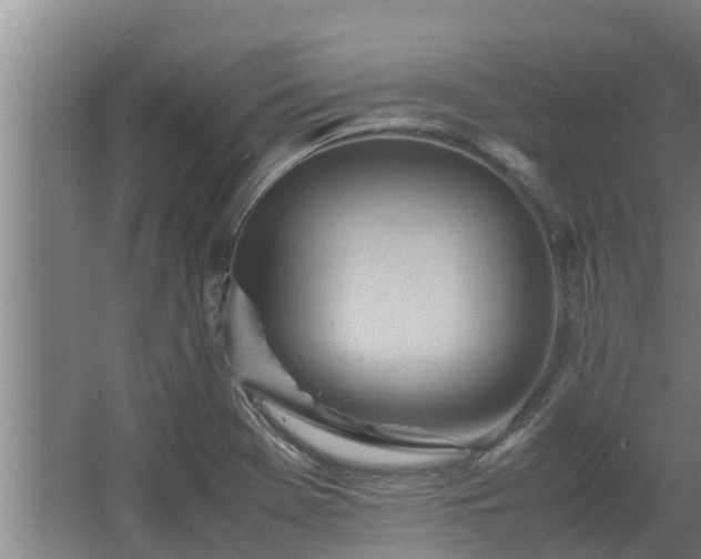 X0000064041369200602031546