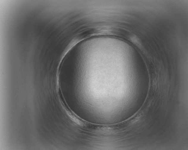 X0000064041370200602031546