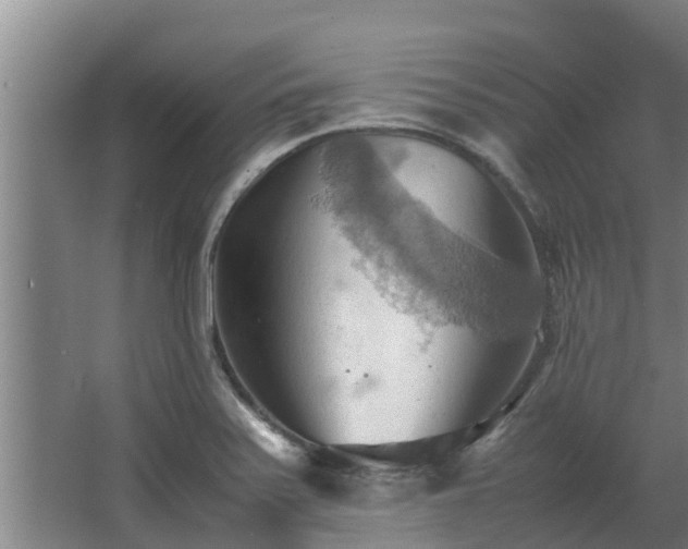 X0000064041371200602031546