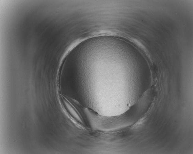 X0000064041373200602031546