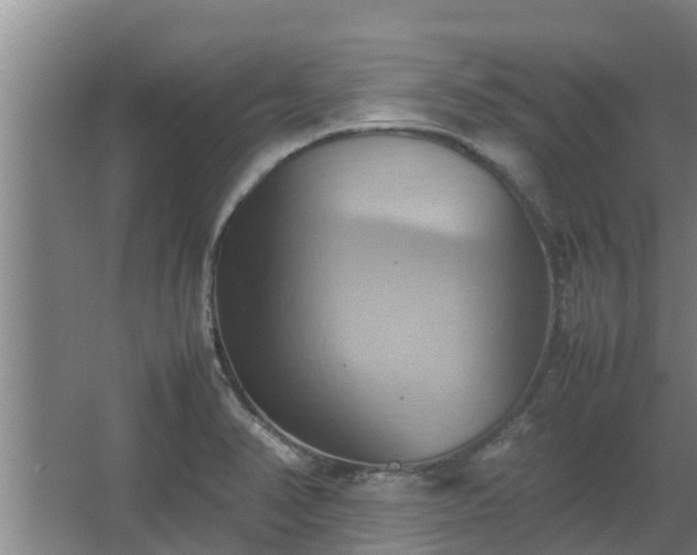 X0000064041374200602031546