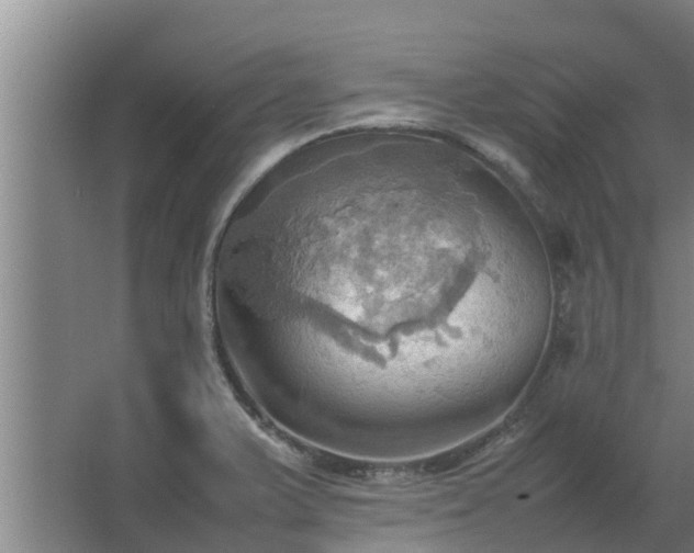 X0000064041375200602031546