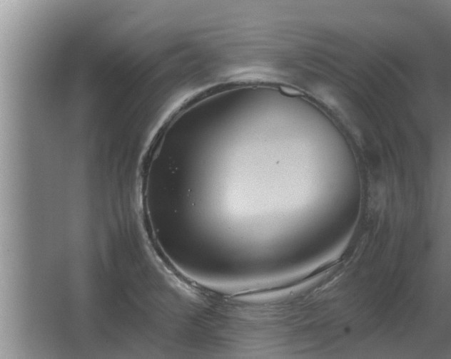 X0000064041376200602031546