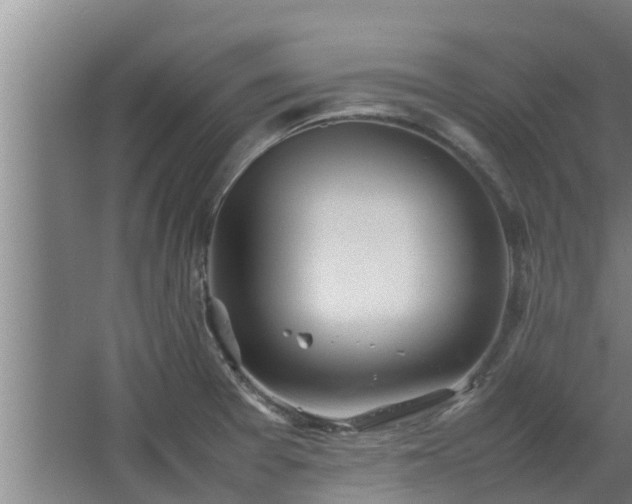 X0000064041377200602031546