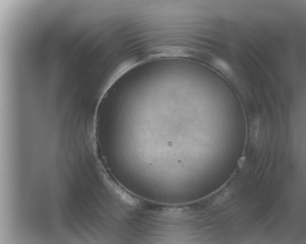 X0000064041378200602031546