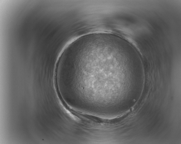 X0000064041379200602031546