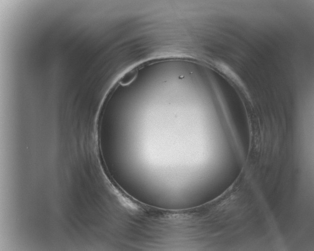 X0000064041380200602031546