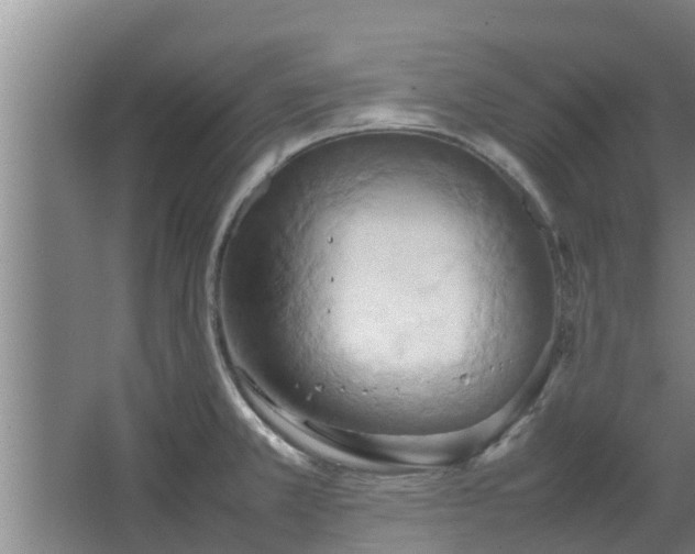 X0000064041381200602031546