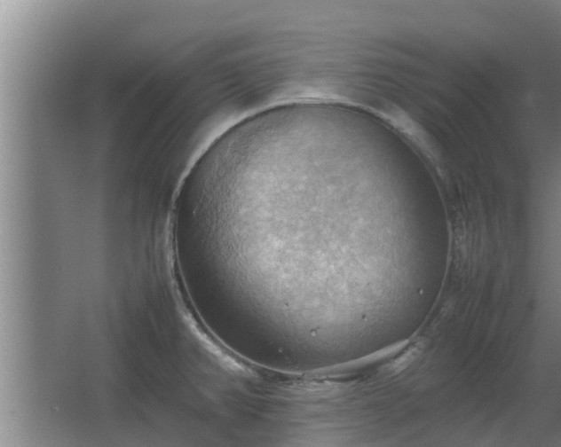 X0000064041382200602031546