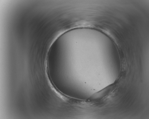 X0000064041383200602031546