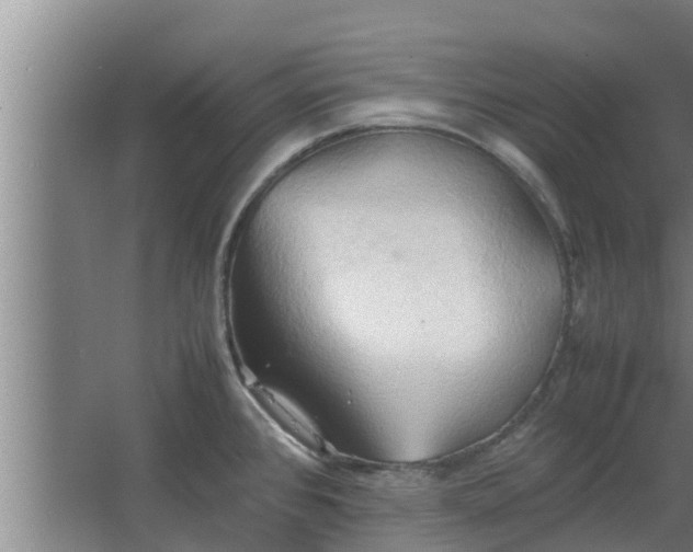 X0000064041384200602031546