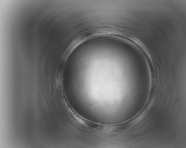 X0000064041385200602031546