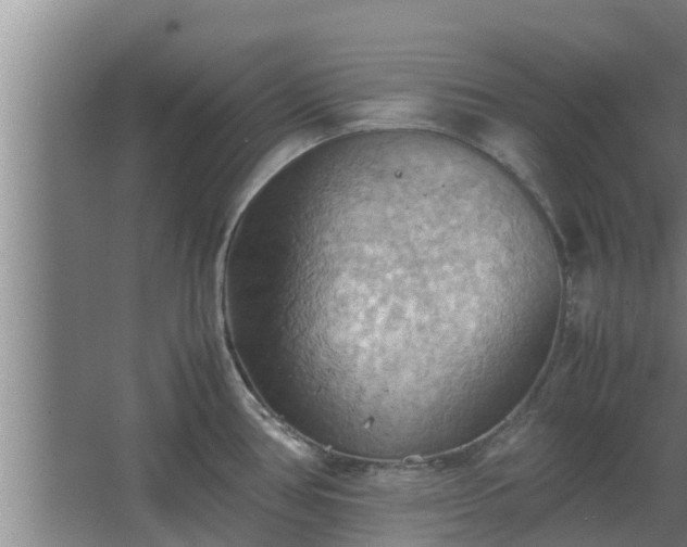 X0000064041386200602031546