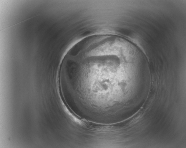 X0000064041387200602031546