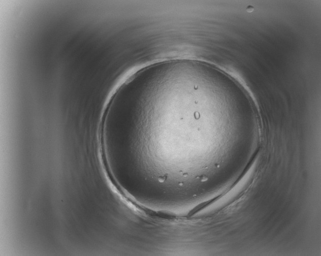 X0000064041389200602031546