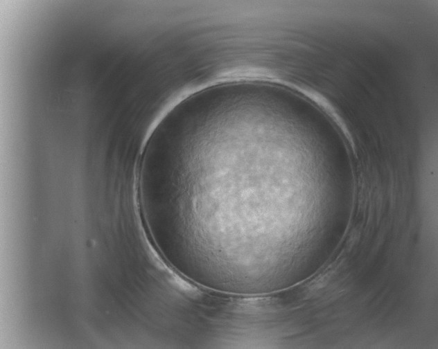 X0000064041390200602031546