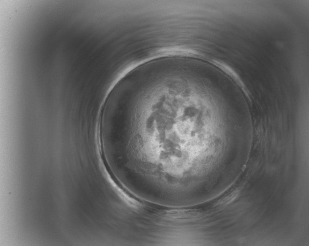 X0000064041391200602031546