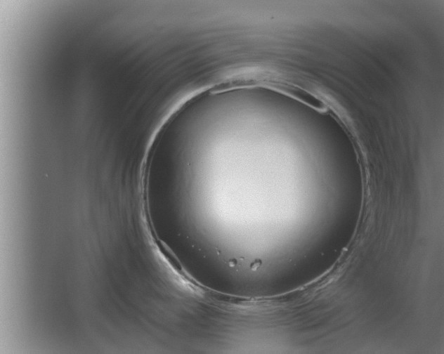 X0000064041392200602031546