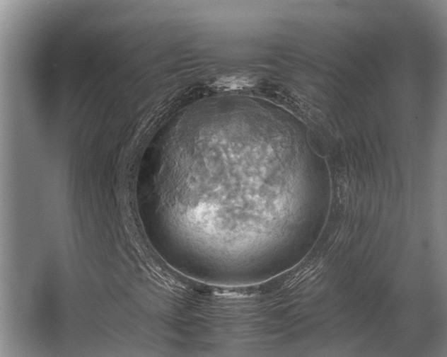 X0000064041393200602031545